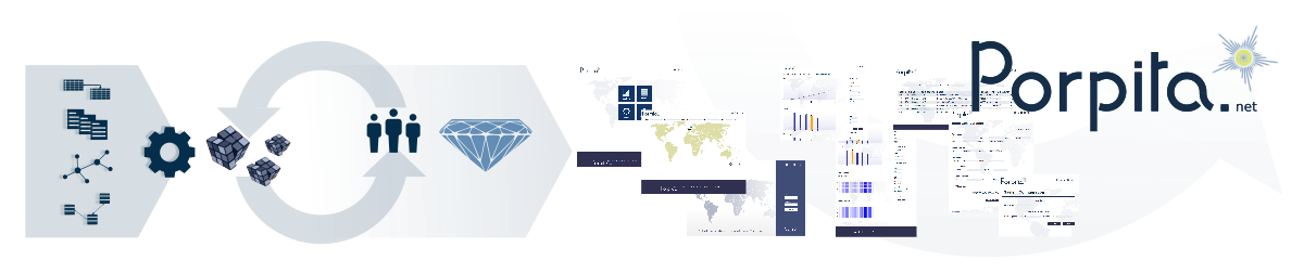 Porpita framework banner